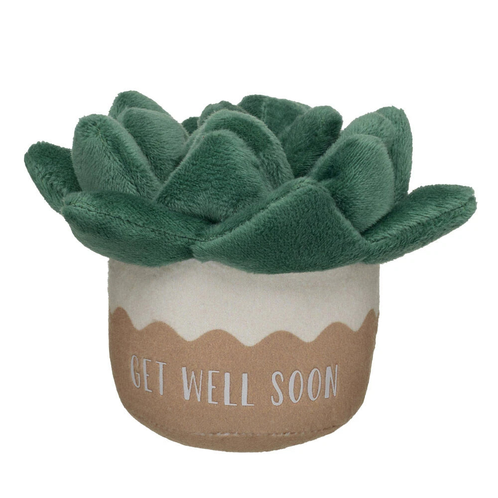 HB GET WELL PLANT - US 5388