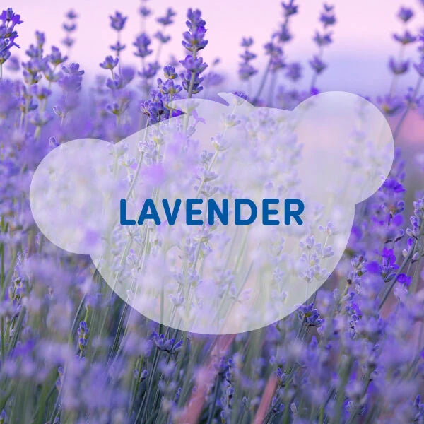 SCENTiments™ Lavender Scent for Stuffed Animals | Build-A-Bear® - US 7564