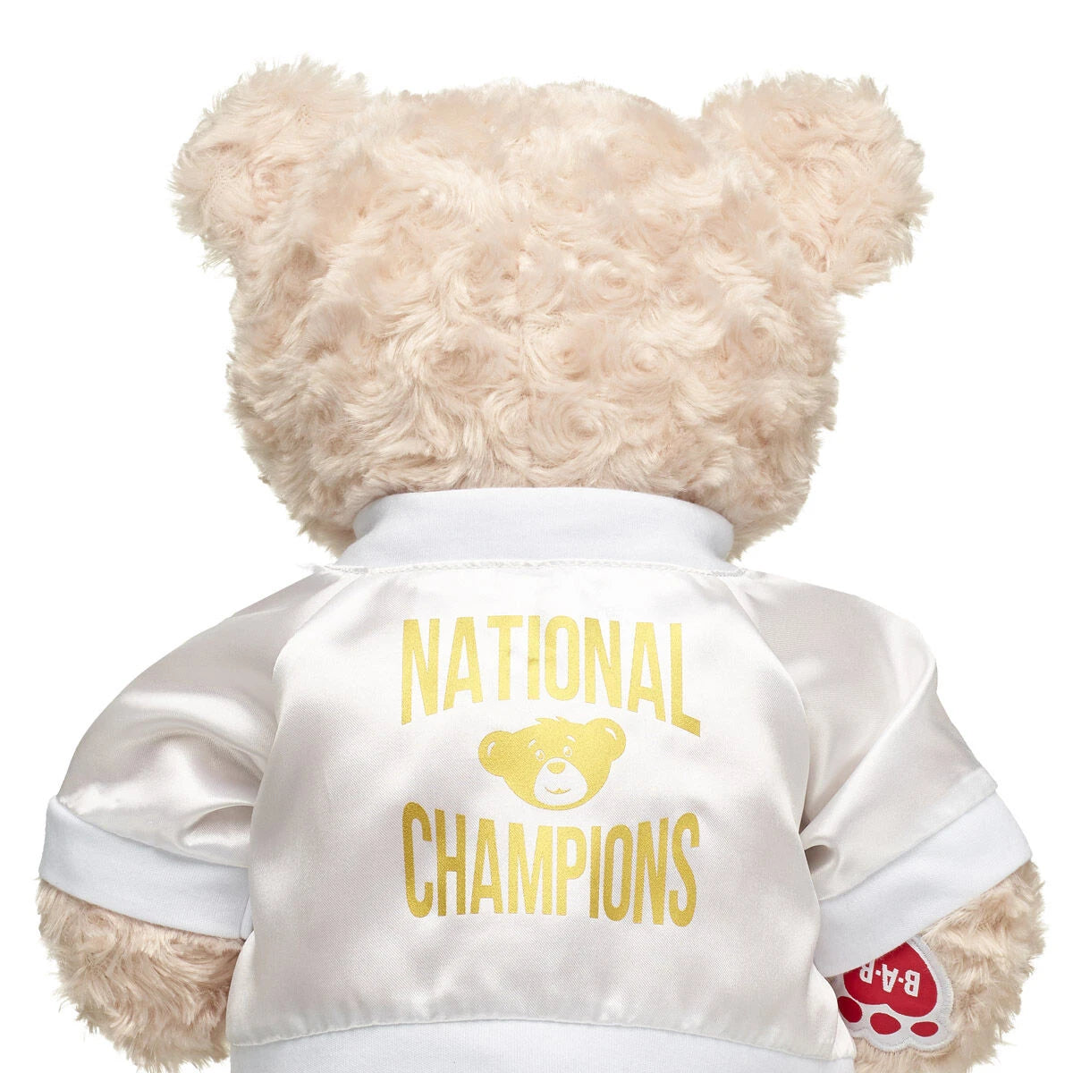 Varsity Spirit National Champions Jacket | Build-A-Bear® - US 2900