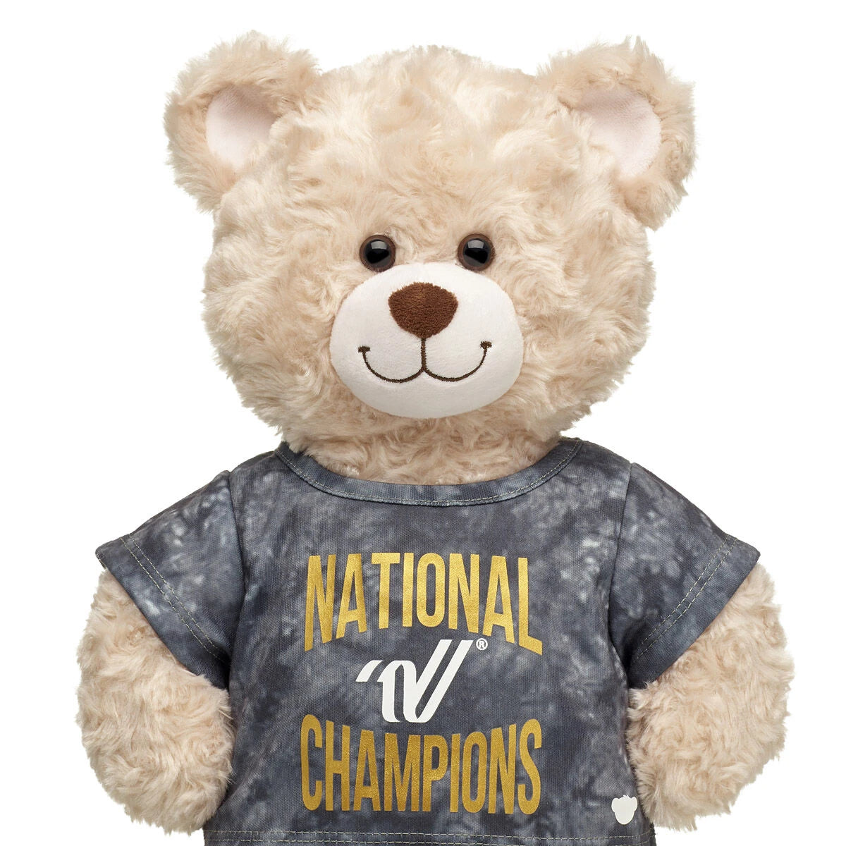 Varsity Spirit National Champions T-Shirt | Build-A-Bear® - US 8283