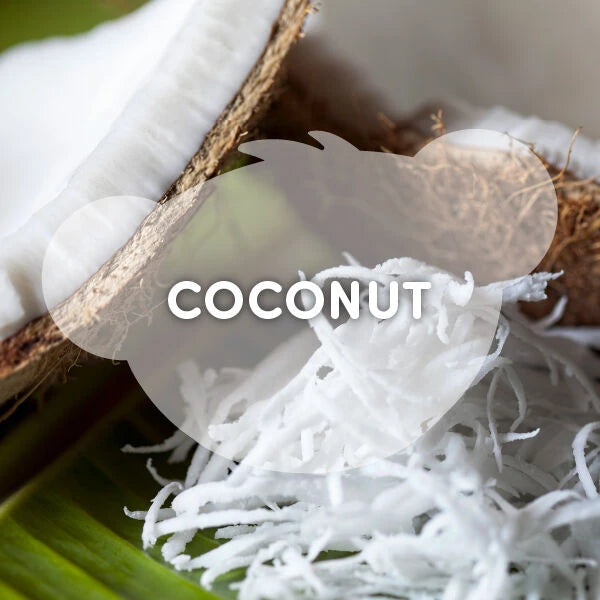 SCENTiments™ Coconut Scent for Stuffed Animals | Shop at Build-A-Bear® - US 6383