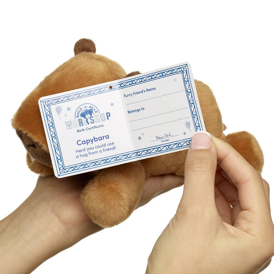 Mini Beans Capybara Stuffed Animal | Limited Edition - US 2491