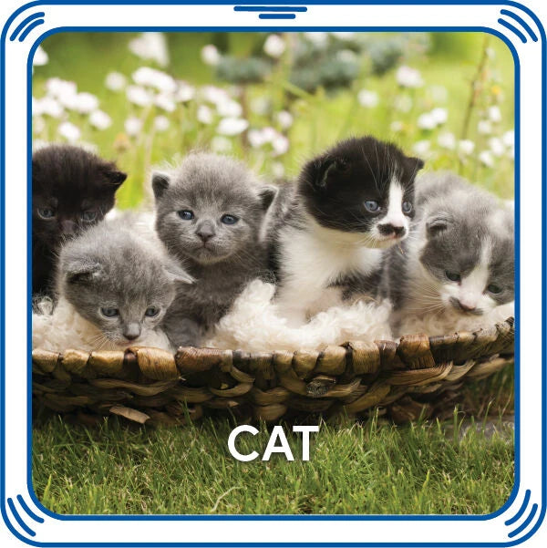 Kitty 5-in-1 Sound for Stuffed Animals | Build-A-Bear® - US 3278