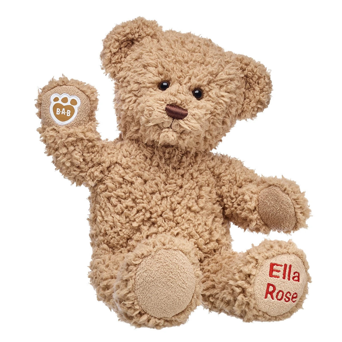 Embroidered Teddy Bear | Online Exclusive Gift | Shop at Build-A-Bear® - US 3544
