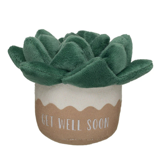 HB GET WELL PLANT - US 5990