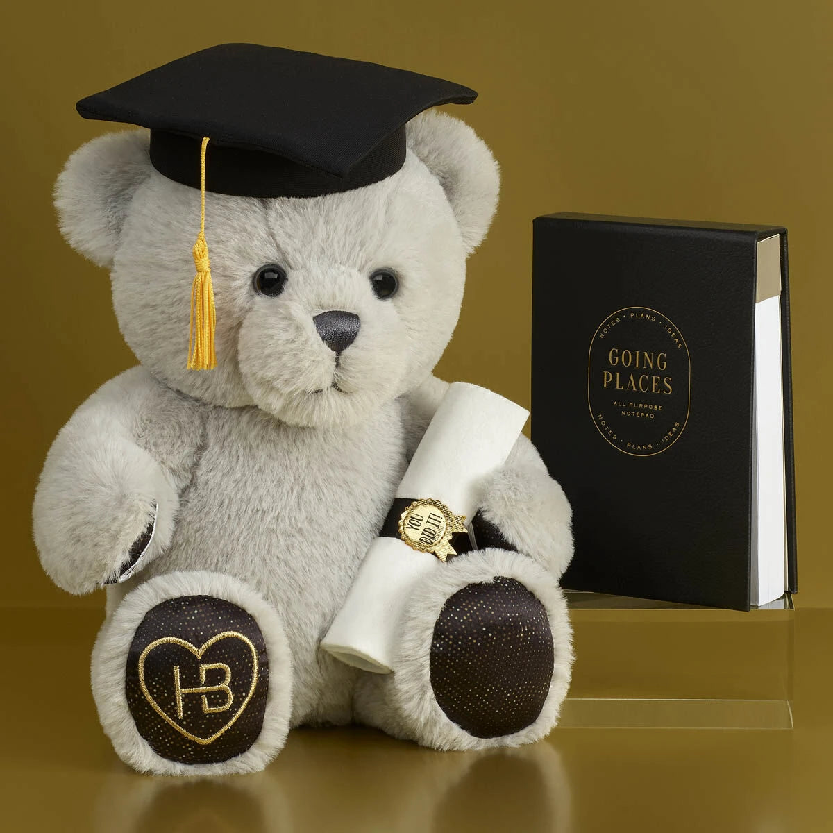 Going Places Graduation Gift Box | Build-A-Bear® - US 1449