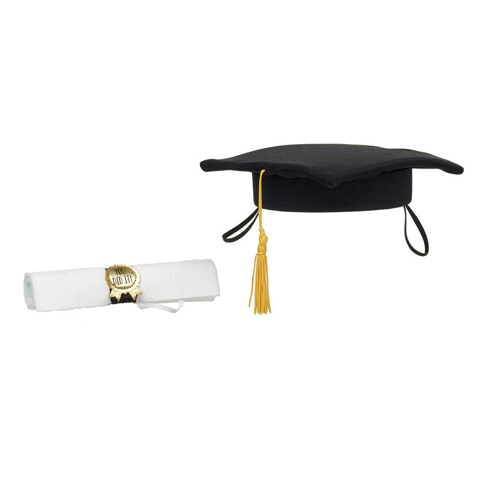 Going Places Graduation Gift Box | Build-A-Bear® - US 1449