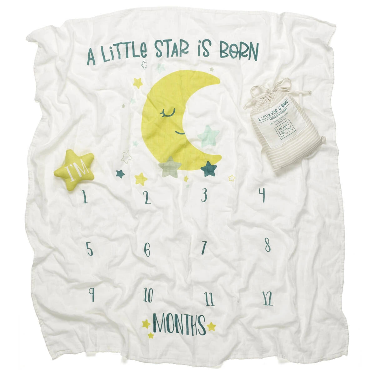 Monthly Milestone Baby Blanket | Build-A-Bear® - US 2085