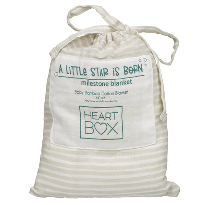 Monthly Milestone Baby Blanket | Build-A-Bear® - US 2085
