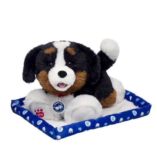 Promise Pets Bernese Mountain Dog Stuffed Animal w/ Blue Bed | Build-A-Bear - US 7991