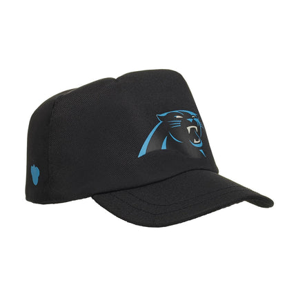 Carolina Panthers Timeless Teddy Bear Football Gift Set - US 3256