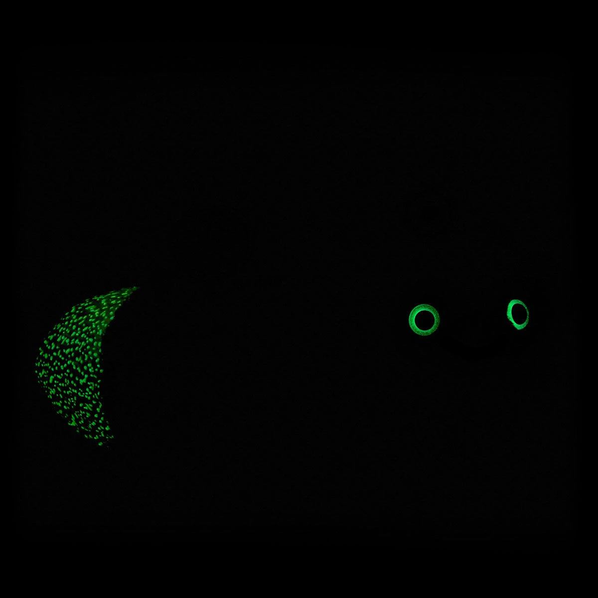 Glow-in-the-Dark Lightning Bug Stuffed Animal | BAB - US 1681