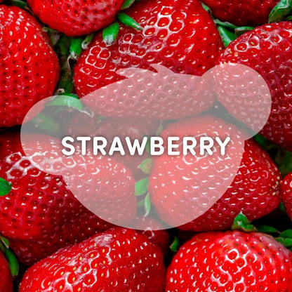 Strawberry Lemonade Bear Slushie Plushie Scented | BAB - US 2599