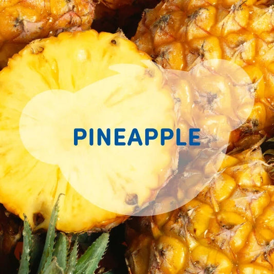 SCENTiments™ Fresh Pineapple Scent for Stuffed Animals | Build-A-Bear® - US 2988
