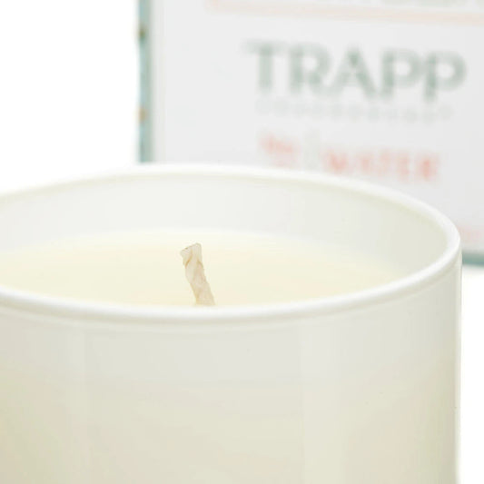No. 20 Water 3.75 oz. Small Poured Candle | Build-A-Bear® - US 6811