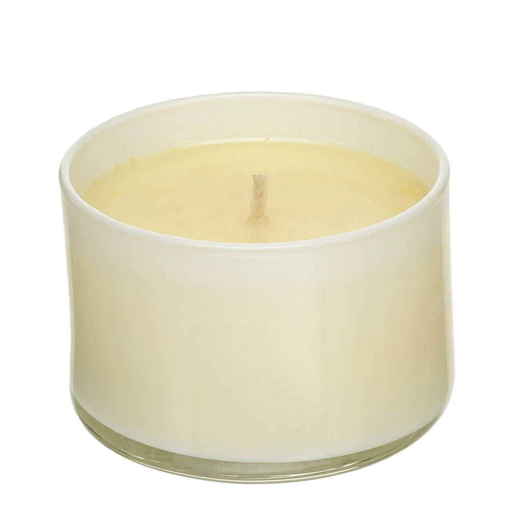 Trapp Signature Home Collection—No. 25 Lavender de Provence Scented Candle | Build-A-Bear® - US 4284