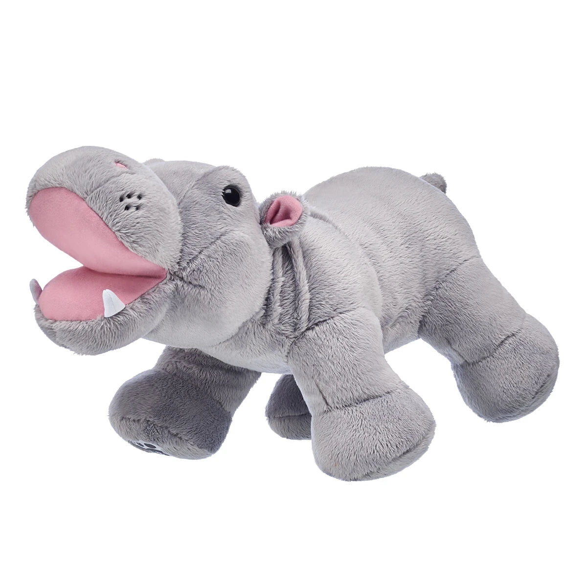 Online Exclusive Happy Lil' Hippo - US 6726