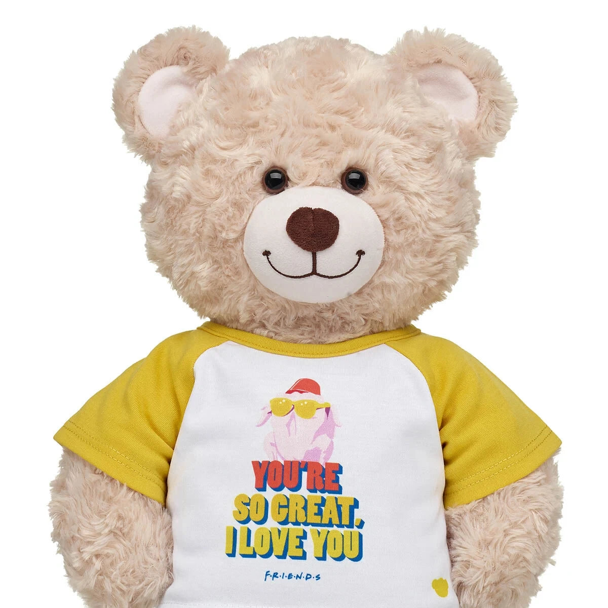 FRIENDS TV Show Turkey T-Shirt for Stuffed Animals | Build-A-Bear® - US 9108