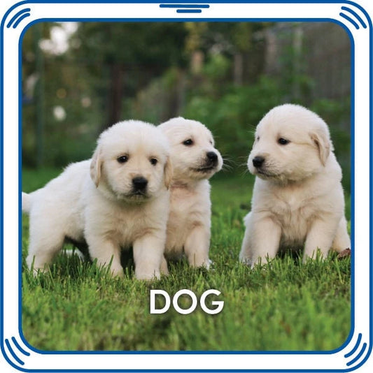 Puppy 5-in-1 Sound for Stuffed Animals | Build-A-Bear® - US 6717