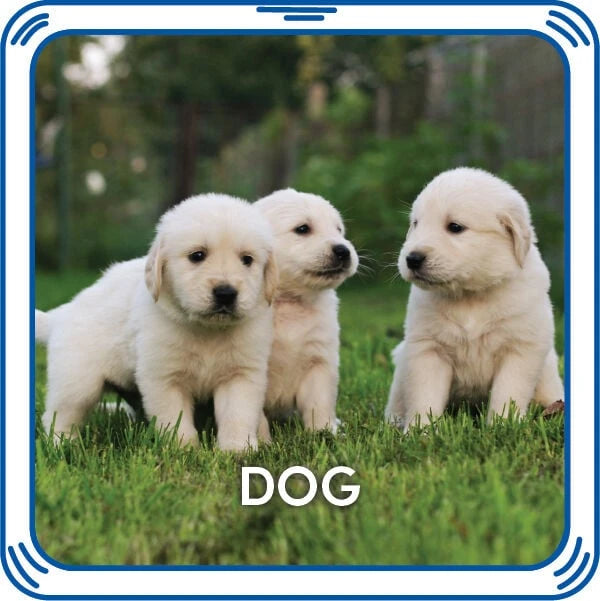 Puppy 5-in-1 Sound for Stuffed Animals | Build-A-Bear® - US 8164