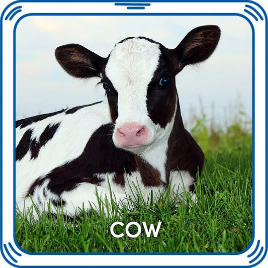 Cow Sound for Stuffed Animals | Build-A-Bear® - US 8338