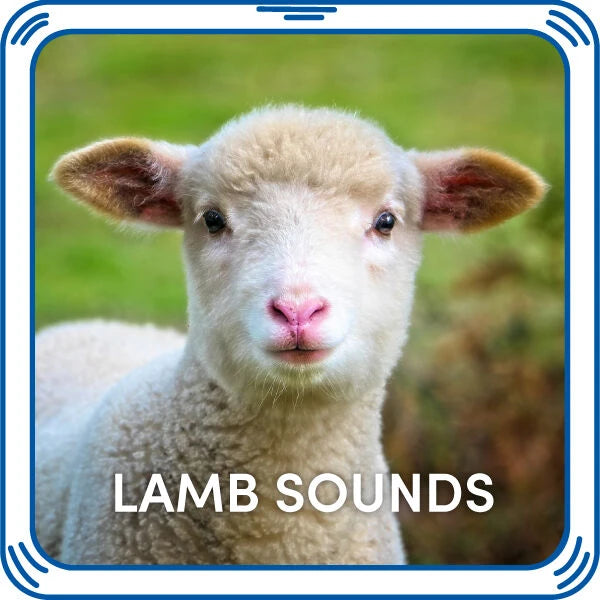 Lamb Sounds for Stuffed Animals | Build-A-Bear® - US 9832